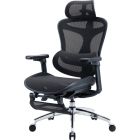 Кресло офисное Sihoo Doro C300L Mesh Black with footrest (Doro-C300L-A3-101-JT) (DORO-C300L-A3-101-JT)