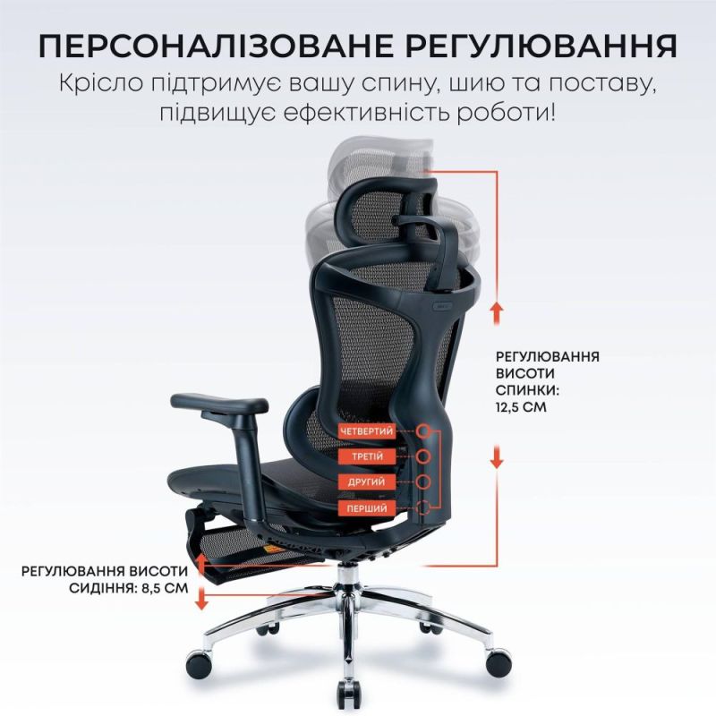 Крісло офісне Sihoo Doro C300L Mesh Black with footrest (Doro-C300L-A3-101-JT) (DORO-C300L-A3-101-JT)