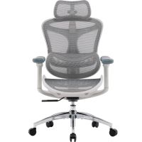 Крісло офісне Sihoo Doro C300L Mesh White (DORO-C300L-A3-102)