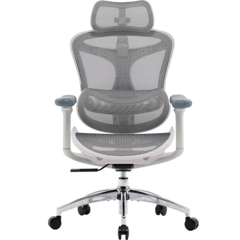 Крісло офісне Sihoo Doro C300L Mesh White (DORO-C300L-A3-102)