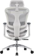 Кресло офисное Sihoo Doro C300L Mesh White (DORO-C300L-A3-102)