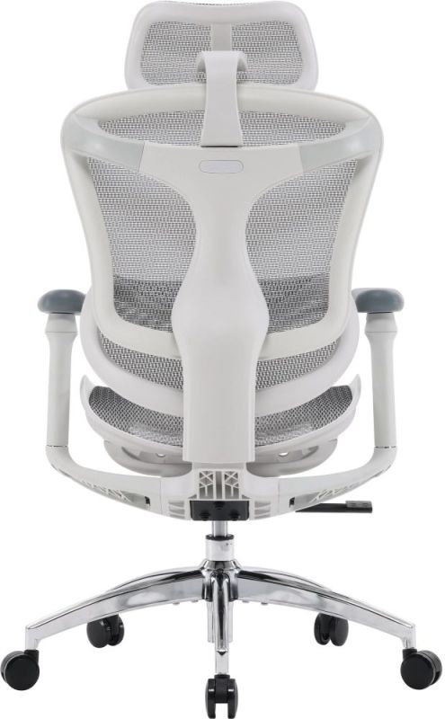 Кресло офисное Sihoo Doro C300L Mesh White (DORO-C300L-A3-102)