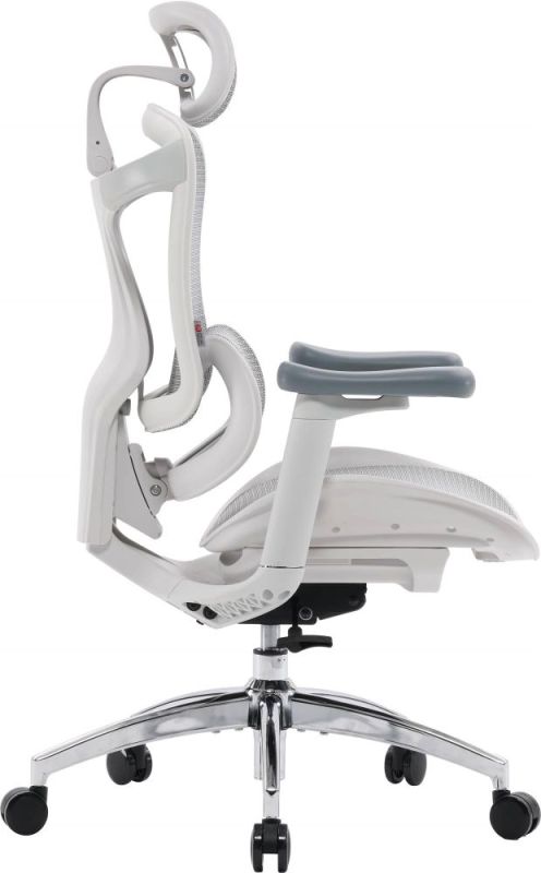 Кресло офисное Sihoo Doro C300L Mesh White (DORO-C300L-A3-102)