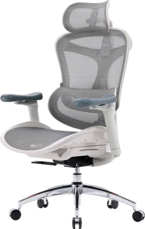 Кресло офисное Sihoo Doro C300L Mesh White (DORO-C300L-A3-102)