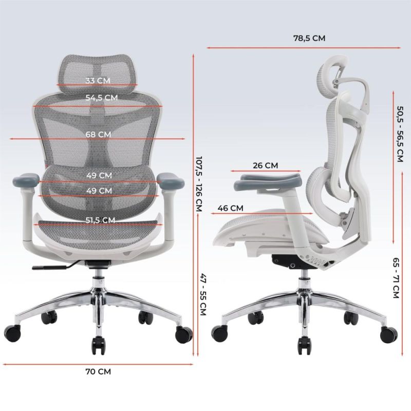 Кресло офисное Sihoo Doro C300L Mesh White (DORO-C300L-A3-102)