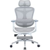 Крісло офісне Sihoo Doro C300L Mesh White with footrest (Doro-C300L-A3-102-JT) (DORO-C300L-A3-102-JT)