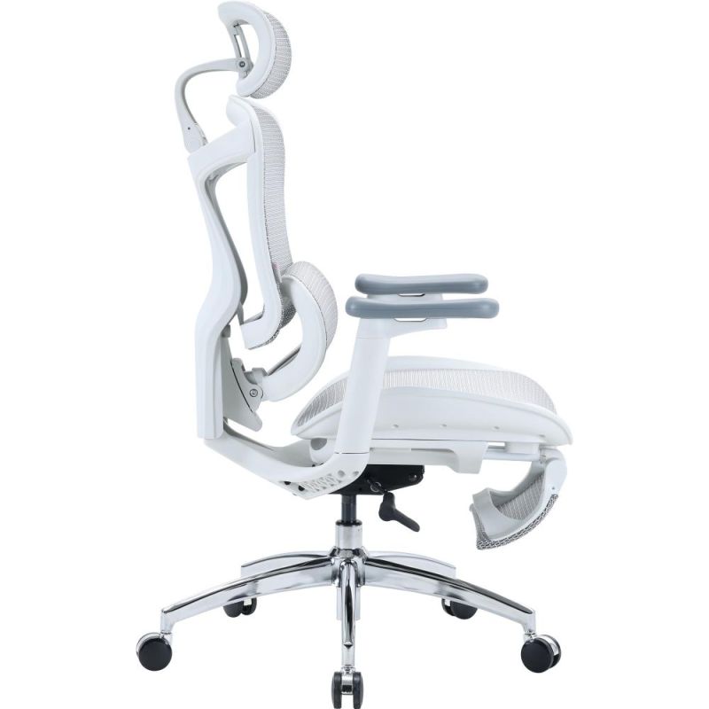 Кресло офисное Sihoo Doro C300L Mesh White with footrest (Doro-C300L-A3-102-JT) (DORO-C300L-A3-102-JT)