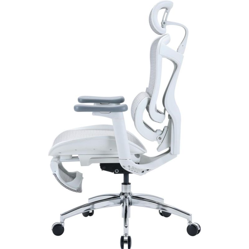 Кресло офисное Sihoo Doro C300L Mesh White with footrest (Doro-C300L-A3-102-JT) (DORO-C300L-A3-102-JT)
