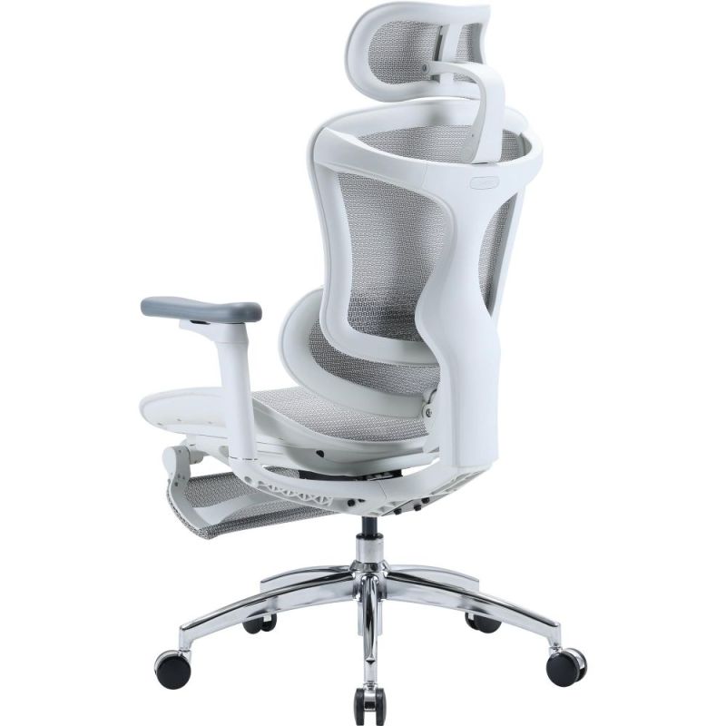 Кресло офисное Sihoo Doro C300L Mesh White with footrest (Doro-C300L-A3-102-JT) (DORO-C300L-A3-102-JT)