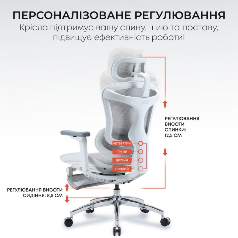 Кресло офисное Sihoo Doro C300L Mesh White with footrest (Doro-C300L-A3-102-JT) (DORO-C300L-A3-102-JT)