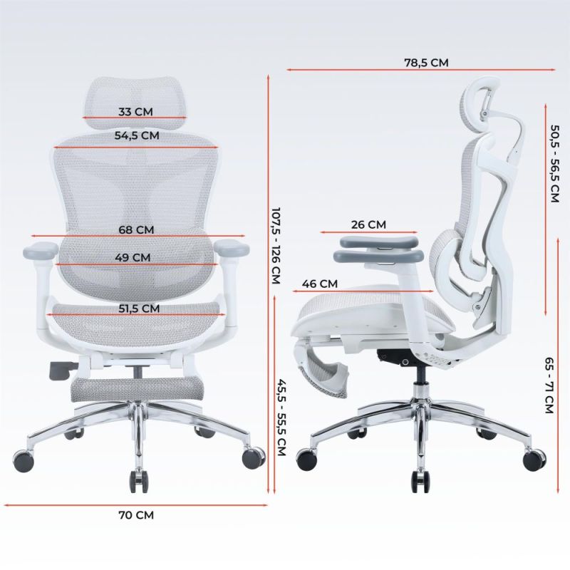 Кресло офисное Sihoo Doro C300L Mesh White with footrest (Doro-C300L-A3-102-JT) (DORO-C300L-A3-102-JT)