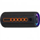 Акустична система 1.0 Aspiring Shake 20, TWS  40W, Bluetooth/FM, чорна (SH20TWS40)