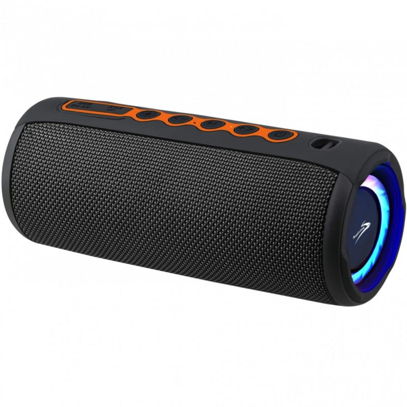 Акустична система 1.0 Aspiring Shake 20, TWS  40W, Bluetooth/FM, чорна (SH20TWS40)