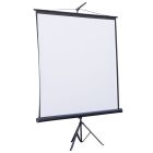 Проекционный экран Atria 136" (244x244, 1:1) (ECO TRM-AV-96)