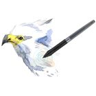 Графічний планшет Huion + рукавичка (H1060P)