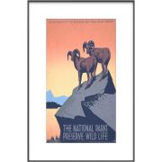 Електронний постер InkPoster Affresco 31.5" black (PB3150P1-WW)