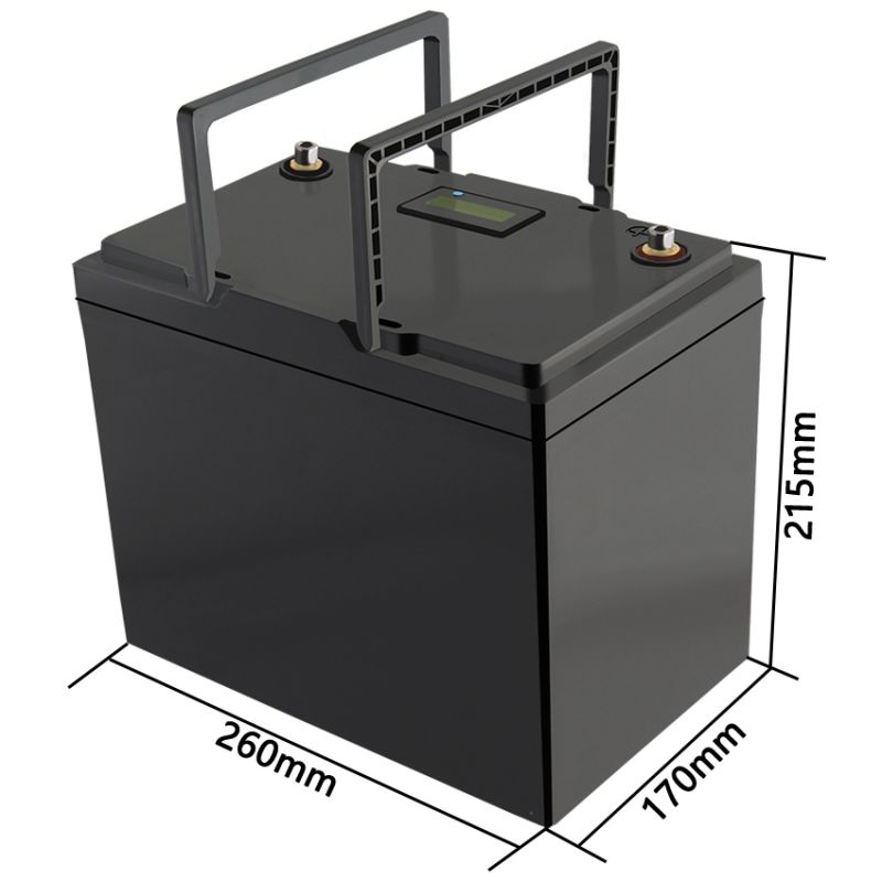 Акумуляторна батарея LiitoKala LiFePO4 12V100Ah, LCD (12V100Ah LiFePO4 LCD)