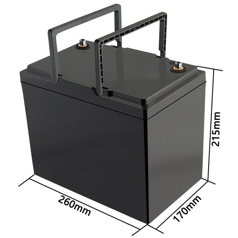 Акумуляторна батарея LiitoKala LiFePO4 12V100Ah (12V100Ah LiFePO4)