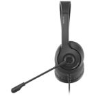 Навушники A4Tech FH100U Stone Black (4711421976978)