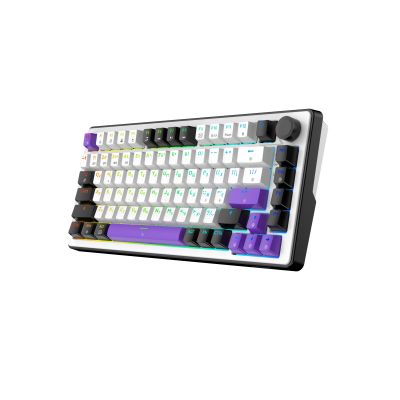 Клавиатура Hator Hellyberry HK75 Mechanical Linear RGB Wireless/Bluetooth/USB UA White/Violet (HK75_wireless)