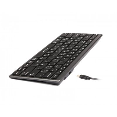 Клавіатура A4Tech FX61 USB Grey (4711421976411)