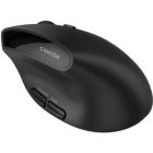Мишка Canyon MW-25 LED Silent Wireless/Bluetooth Black (CNS-CMSW25)