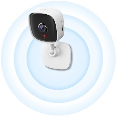 Камера видеонаблюдения TP-Link (TAPO-C110)