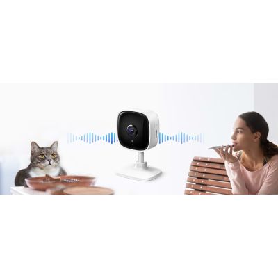 Камера видеонаблюдения TP-Link (TAPO-C110)