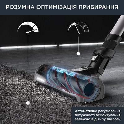 Пилосос Rowenta (RH9958WA)