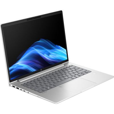 Ноутбук HP ProBook 4 G1a (D4VG2ET)