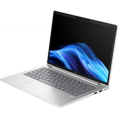 Ноутбук HP ProBook 4 G1a (D4VG2ET)