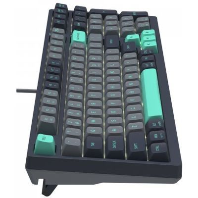 Клавиатура A4Tech FS300 FS Switches USB Panda Rock Climbin (4711421000444)
