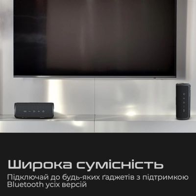 Акустическая система HiFuture Ripple Black (ripple.black.)