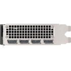 Відеокарта PNY NVIDIA RTX 2000 Ada (VCNRTX2000ADA-SB)