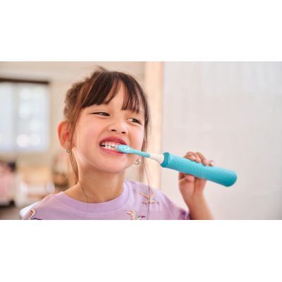 Насадка для зубной щетки Philips (HX6042/90)
