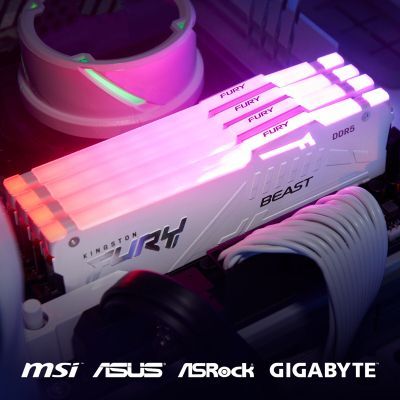 Модуль пам\'яті для комп\'ютера DDR5 32GB 6000 MHz Beast AM5 RGB White Kingston Fury (ex.HyperX) (KF560C36BWEA-32)