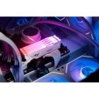 Модуль пам\'яті для комп\'ютера DDR5 32GB 6000 MHz Beast AM5 RGB White Kingston Fury (ex.HyperX) (KF560C36BWEA-32)