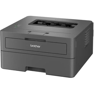 Лазерный принтер Brother HL-L2402DYJ1 (HLL2402DYJ1)