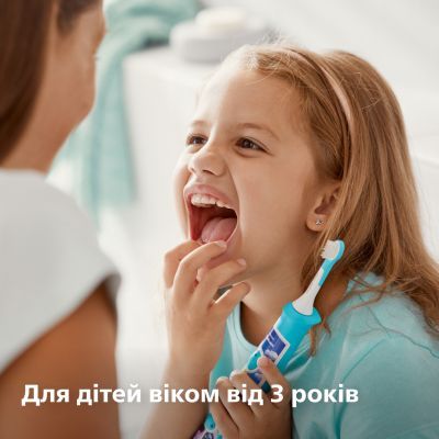 Насадка для зубной щетки Philips (HX6032/90)