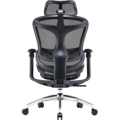 Офісне крісло Sihoo DORO C300L Mesh Black (DORO-C300L-A3-101)