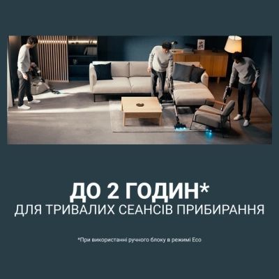 Пылесос Rowenta (RH9CD9E0)