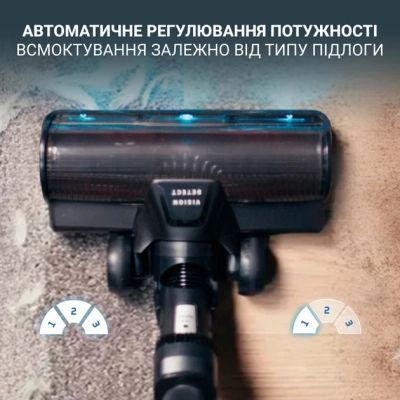 Пылесос Rowenta (RH9CD9E0)