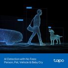 Камера видеонаблюдения TP-Link (TAPO-C246D)