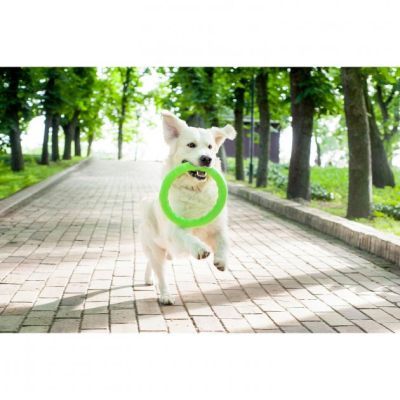 Іграшка для собак Collar PitchDog Кільце для апортування 17 см салатове (62365)