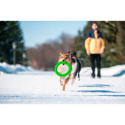 Іграшка для собак Collar PitchDog Кільце для апортування 17 см салатове (62365)