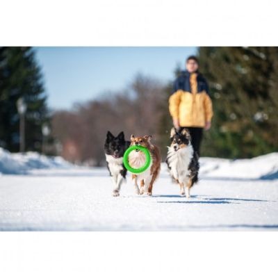 Іграшка для собак Collar PitchDog Кільце для апортування 17 см салатове (62365)