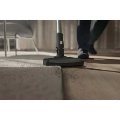 Пилосос Electrolux (EP31CB21GP)