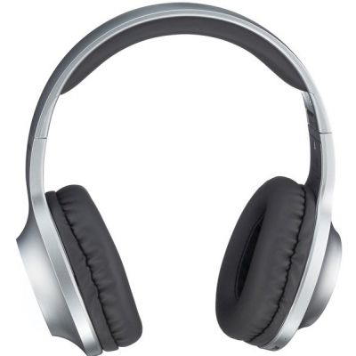 Навушники Panasonic (RB-HX220BEE-S) Gray (RB-HX220BEE-S)