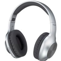 Навушники Panasonic (RB-HX220BEE-S) Gray (RB-HX220BEE-S)