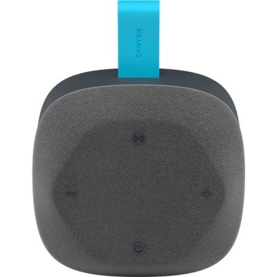 Акустическая система Canyon HEXAGON 10 Grey Blue (CNE-CBTSP10GB)